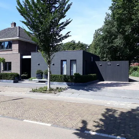B&B B&b36 부흐트
